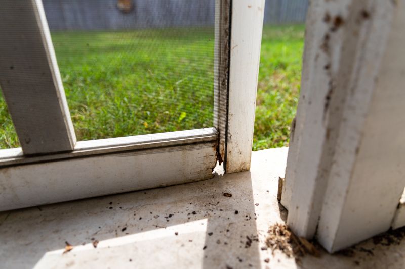 Window Rot Repair