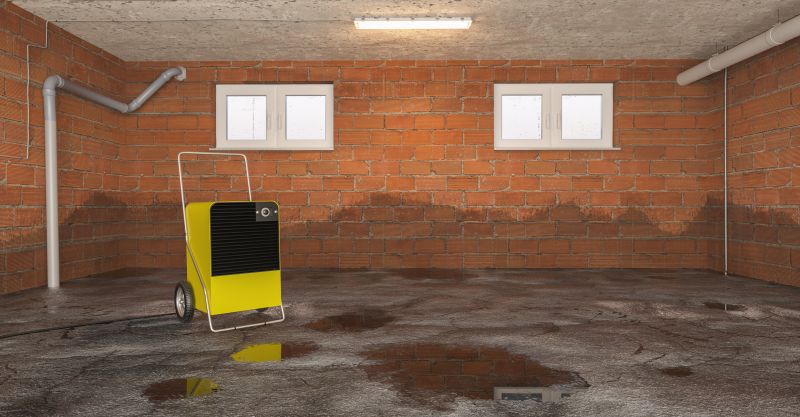 Basement Water Cleanup in Scottsdale, AZ
