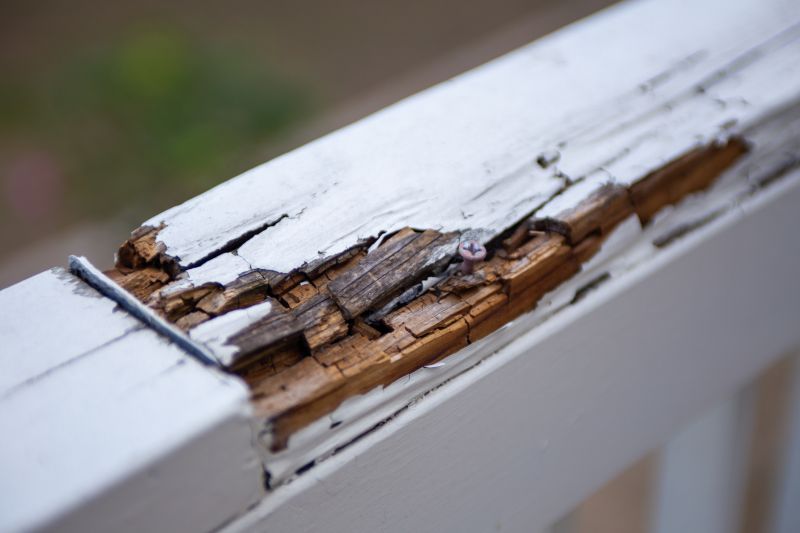 Decay Repair Service in Denver County, CO