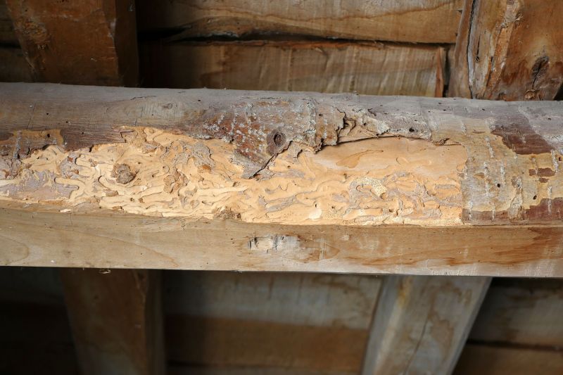 Decayed Wood Replacement in Olathe, KS