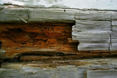 Dry Rot Remediation in Wilmington, NC