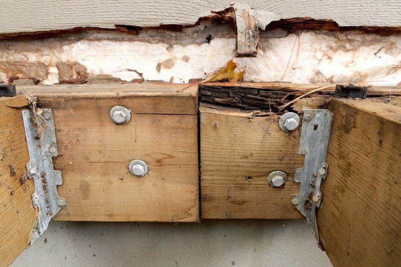 Dry Rot Repair in Littleton, CO