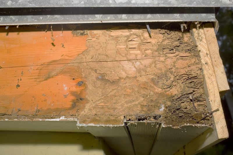 Dry Rot Repair in Kansas City, KS