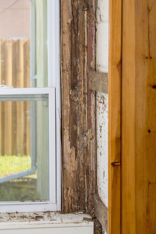 Pest Damage Repair in Littleton, CO