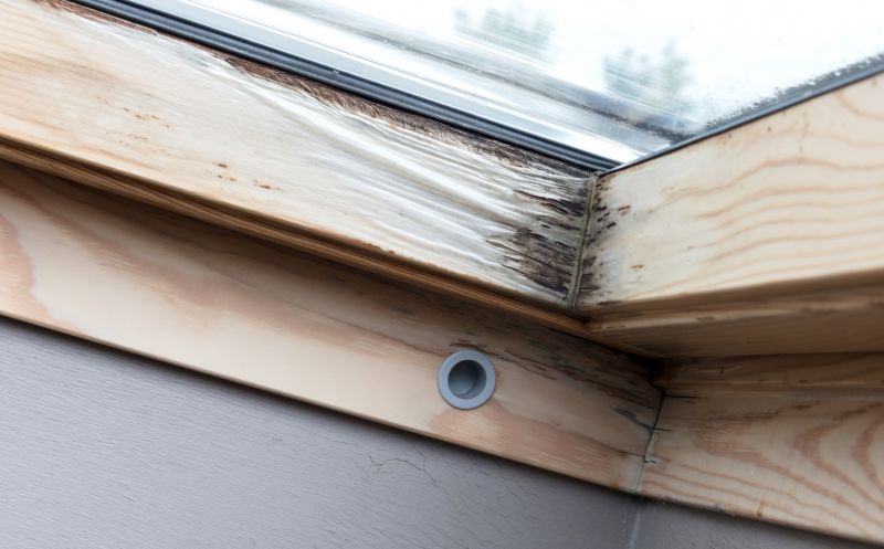 Rot Repair Service in Boulder, CO