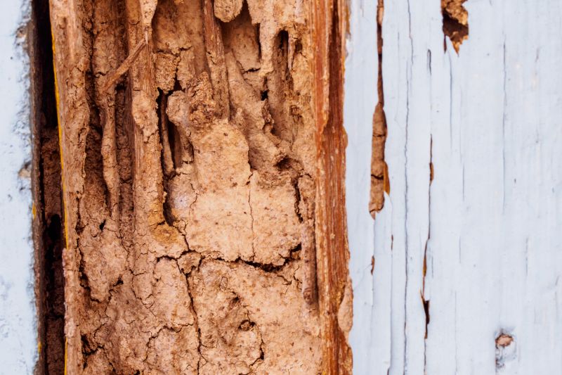 Rotten Wood Repair in Littleton, CO