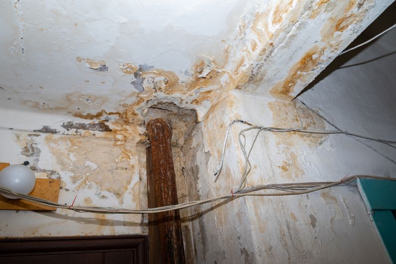 Storm Damage Cleanup in Gilbert, AZ