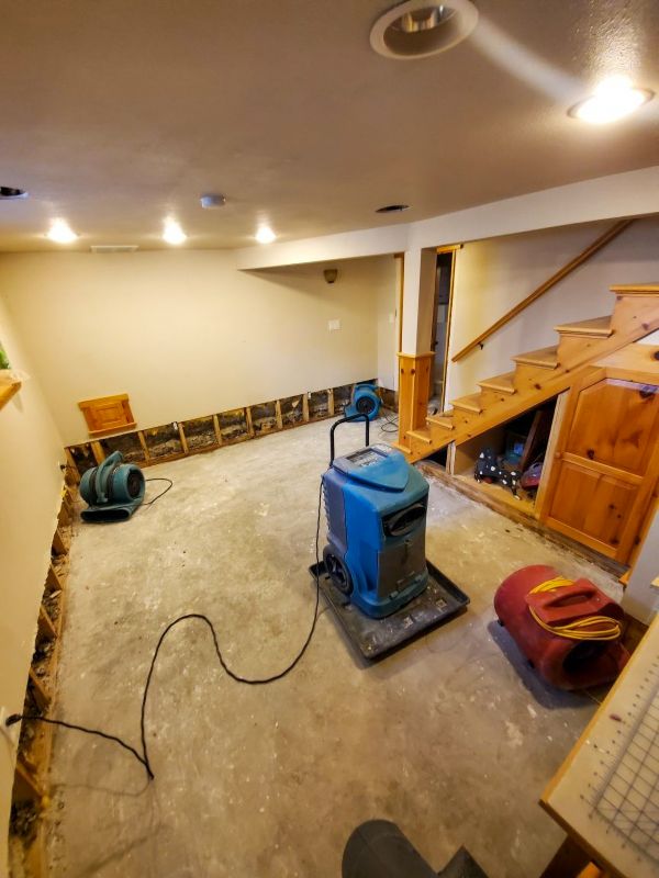 Storm Damage Cleanup in Chandler, AZ