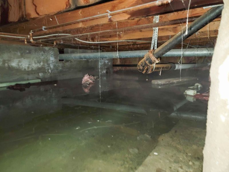 Storm Damage Mitigation in Chandler, AZ