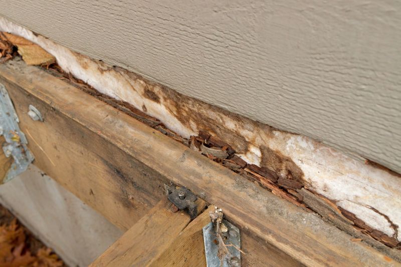Structural Rot Repair in Longmont, CO