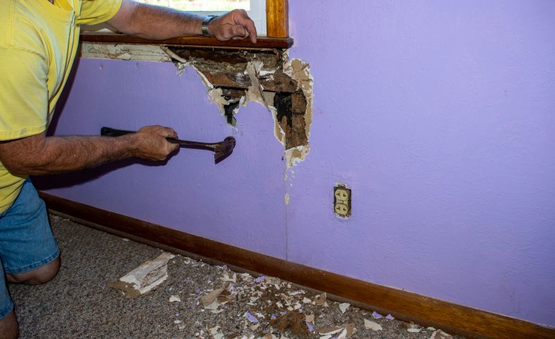 Termite Damage Repair Service in Wilmington, NC