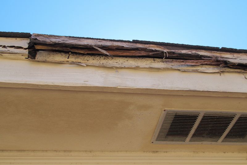 Termite Damage Restoration in Olathe, KS