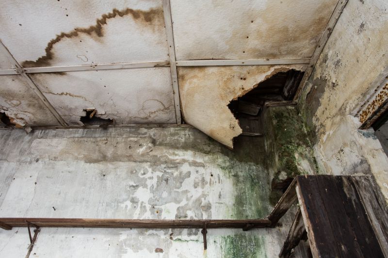 Water Damage Mitigation in Chandler, AZ