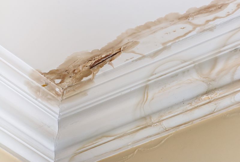 Water Damage Repair in Gilbert, AZ