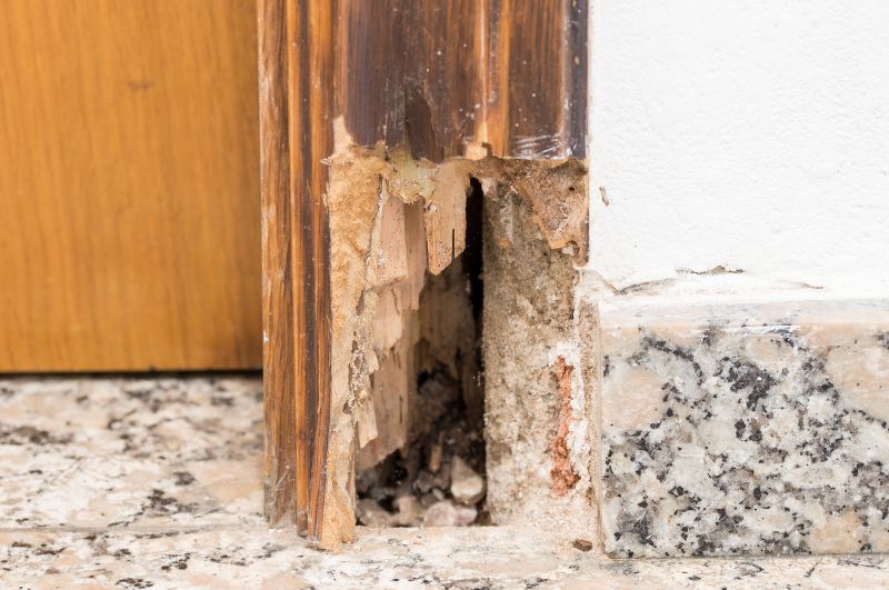 Window Rot Repair in Olathe, KS