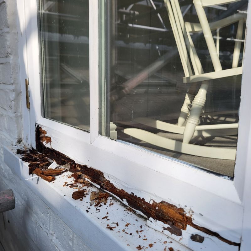 Window Rot Repair in Olathe, KS
