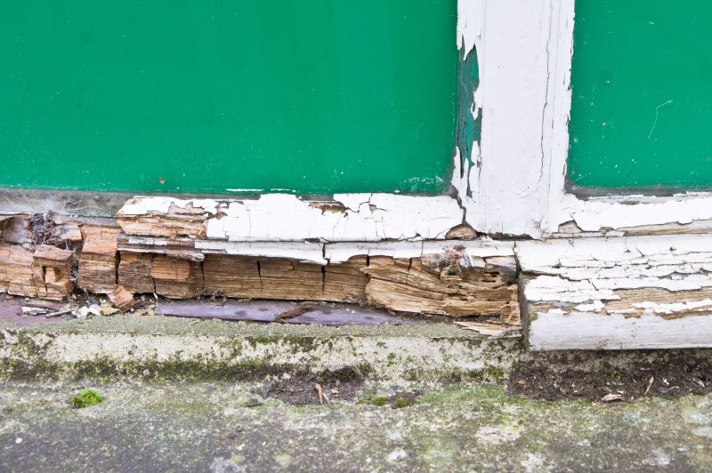 Window Rot Repair in Arvada, CO