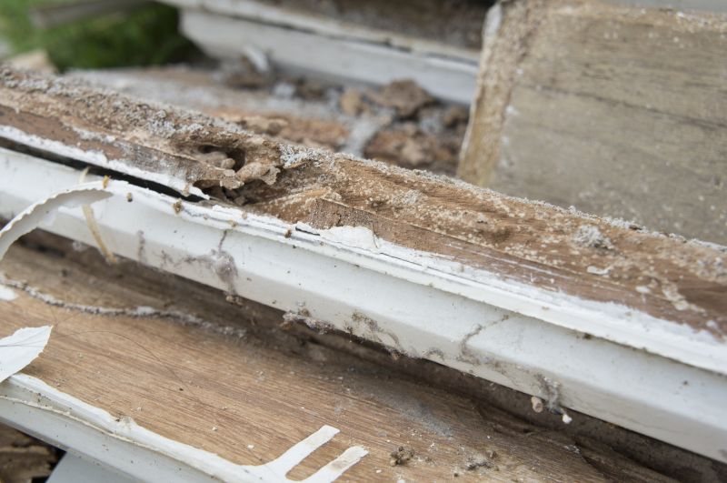 Wood Decay Removal in Conroe, TX
