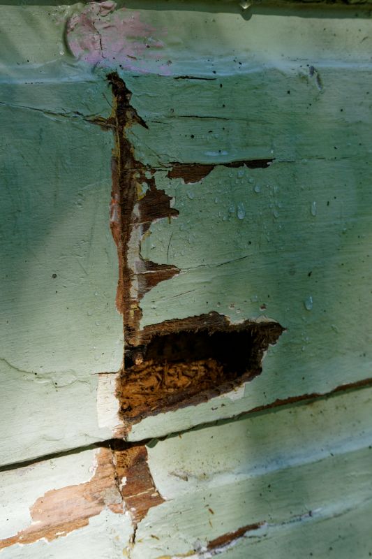 Wood Decay Removal in Conroe, TX
