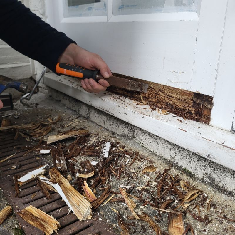 Wood Rot Removal in Boulder, CO