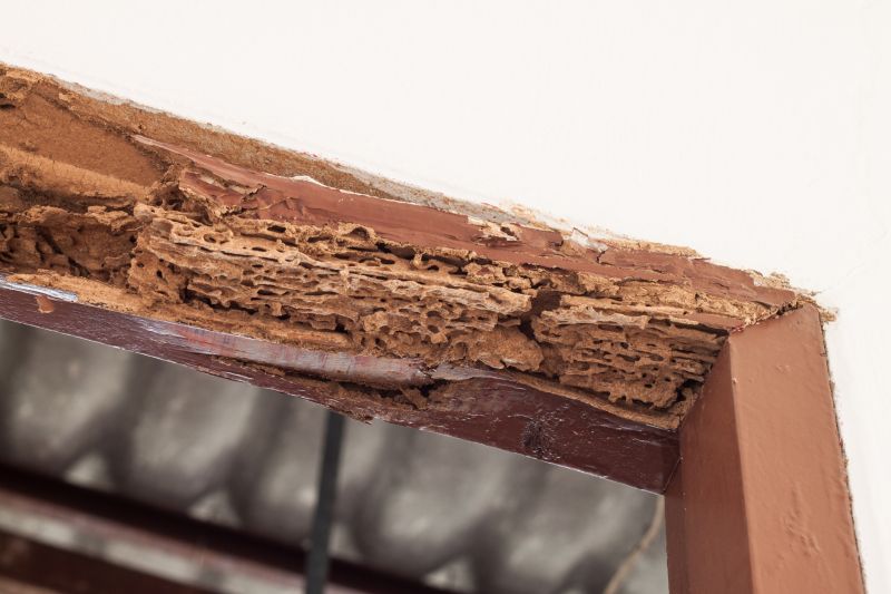 Wood Rot Removal in Overland Park, KS