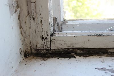 Repair Unsightly Window Rot
