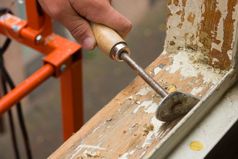 Rot Removal Tools